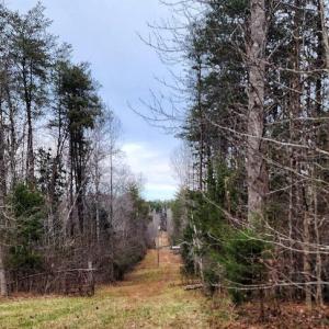 Photo #9 of 1064 HUNTERS LODGE RD, TROY, VA 10.2 acres