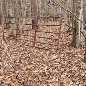 Photo #11 of 1064 HUNTERS LODGE RD, TROY, VA 10.2 acres