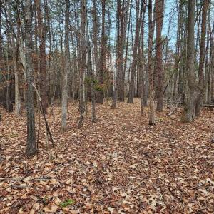 Photo #12 of 1064 HUNTERS LODGE RD, TROY, VA 10.2 acres