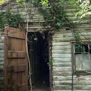 Photo #4 of 1064 HUNTERS LODGE RD, TROY, VA 10.2 acres