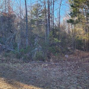Photo #17 of 1064 HUNTERS LODGE RD, TROY, VA 10.2 acres