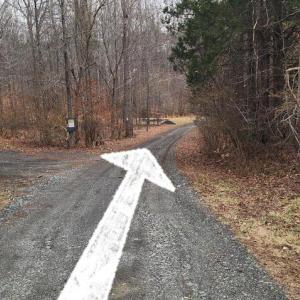 Photo #7 of 1064 HUNTERS LODGE RD, TROY, VA 10.2 acres