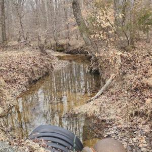 Photo #9 of 1064 HUNTERS LODGE RD, TROY, VA 10.2 acres