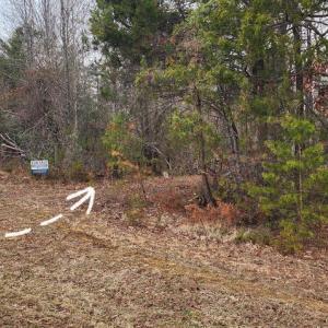 Photo #12 of 1064 HUNTERS LODGE RD, TROY, VA 10.2 acres