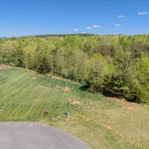 082-Lot 24 Pine Watch Cir 01