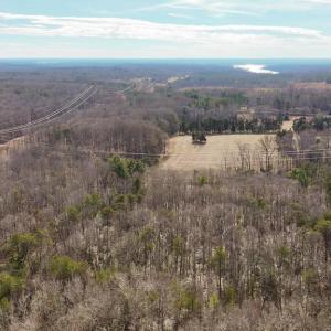 Photo #17 of 6650 HOOK CT, SPOTSYLVANIA, VA 5.0 acres