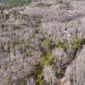 Photo #23 of 6650 HOOK CT, SPOTSYLVANIA, VA 5.0 acres