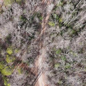 Photo #24 of 6650 HOOK CT, SPOTSYLVANIA, VA 5.0 acres