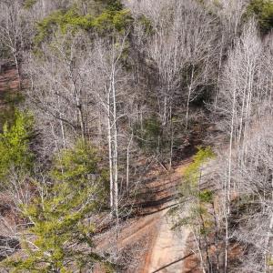 Photo #25 of 6650 HOOK CT, SPOTSYLVANIA, VA 5.0 acres