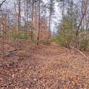 Photo #27 of 6650 HOOK CT, SPOTSYLVANIA, VA 5.0 acres