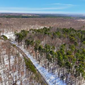 Photo #3 of ELEYS FORD RD, LIGNUM, VA 11.6 acres