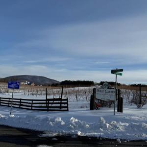 Photo #4 of LEEDS MANOR ROAD, MARSHALL, VA 7.4 acres