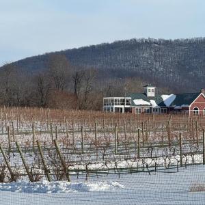 Photo #5 of LEEDS MANOR ROAD, MARSHALL, VA 7.4 acres