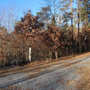 Photo #4 of LOOKOUT DR, SHENANDOAH, VA 3.1 acres