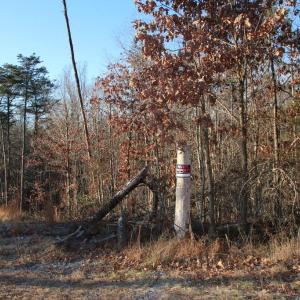 Photo #5 of LOOKOUT DR, SHENANDOAH, VA 3.1 acres