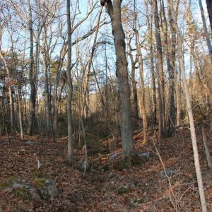 Photo #7 of LOOKOUT DR, SHENANDOAH, VA 3.1 acres