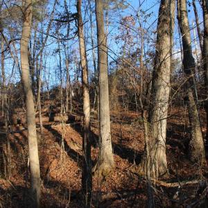 Photo #11 of LOOKOUT DR, SHENANDOAH, VA 3.1 acres