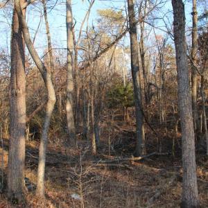 Photo #9 of LOOKOUT DR, SHENANDOAH, VA 3.1 acres