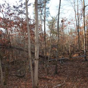 Photo #13 of LOOKOUT DR, SHENANDOAH, VA 3.1 acres