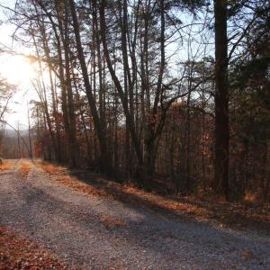 Photo #14 of LOOKOUT DR, SHENANDOAH, VA 3.1 acres