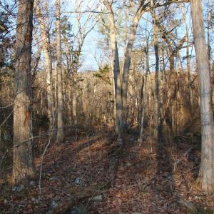 Photo #8 of LOOKOUT DR, SHENANDOAH, VA 3.1 acres