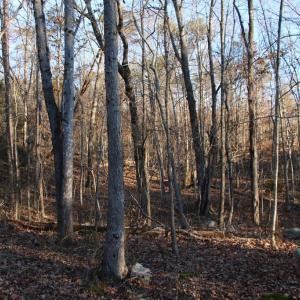 Photo #1 of LOOKOUT DR, SHENANDOAH, VA 3.1 acres