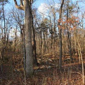Photo #10 of LOOKOUT DR, SHENANDOAH, VA 3.1 acres