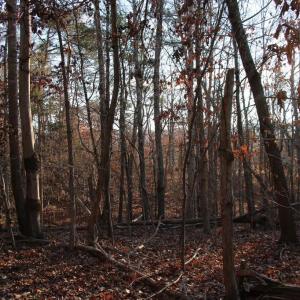 Photo #2 of LOOKOUT DR, SHENANDOAH, VA 3.1 acres