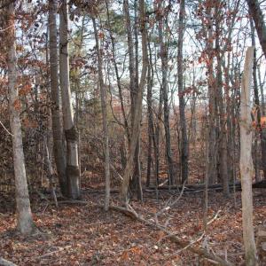 Photo #12 of LOOKOUT DR, SHENANDOAH, VA 3.1 acres