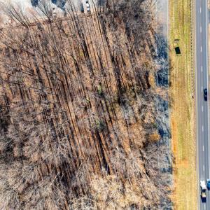 Photo #8 of 55 SEMINOLE TRAIL N, SHELBY, VA 2.1 acres