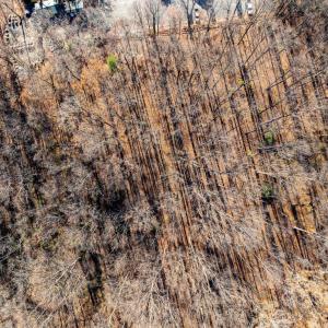 Photo #9 of 55 SEMINOLE TRAIL N, SHELBY, VA 2.1 acres