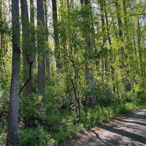Photo #1 of CARLETANS LN, THE PLAINS, VA 10.0 acres