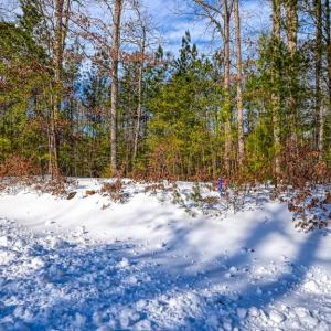 Photo #54 of TRAVELLERS, MINERAL, VA 2.3 acres