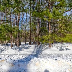 Photo #61 of TRAVELLERS, MINERAL, VA 2.3 acres