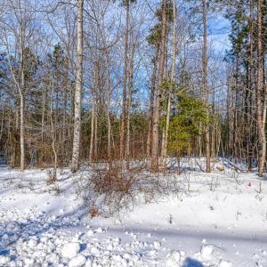 Photo #63 of TRAVELLERS, MINERAL, VA 2.3 acres