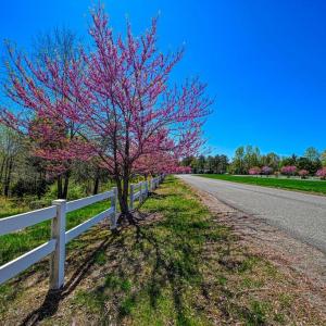 Photo #2 of TRAVELLERS, MINERAL, VA 2.3 acres