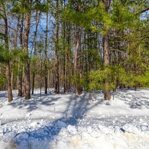 Photo #59 of TRAVELLERS, MINERAL, VA 2.3 acres