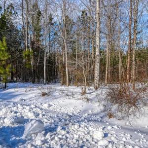 Photo #66 of TRAVELLERS, MINERAL, VA 2.3 acres