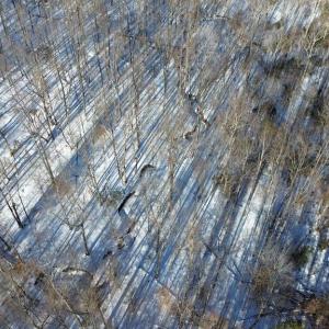 Photo #3 of MT ZION CHURCH RD, MADISON, VA 6.0 acres