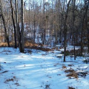 Photo #7 of MT ZION CHURCH RD, MADISON, VA 6.0 acres