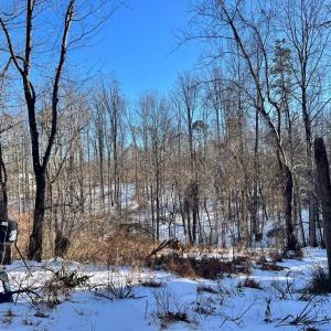 Photo #12 of MT ZION CHURCH RD, MADISON, VA 6.0 acres