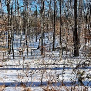 Photo #14 of MT ZION CHURCH RD, MADISON, VA 6.0 acres