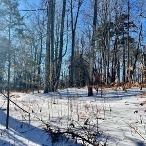 Photo #17 of MT ZION CHURCH RD, MADISON, VA 6.0 acres