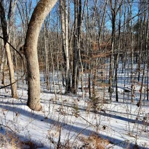 Photo #20 of MT ZION CHURCH RD, MADISON, VA 6.0 acres