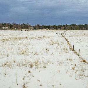 Photo #16 of BIBB STORE RD, LOUISA, VA 8.6 acres