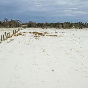 Photo #17 of BIBB STORE RD, LOUISA, VA 8.6 acres