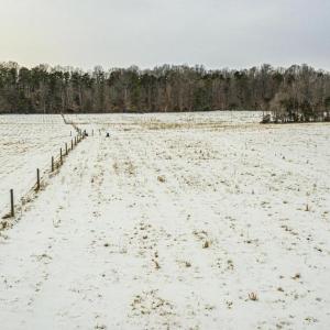 Photo #18 of BIBB STORE RD, LOUISA, VA 8.6 acres