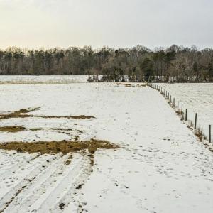 Photo #19 of BIBB STORE RD, LOUISA, VA 8.6 acres