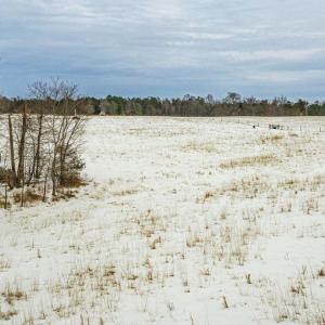 Photo #20 of BIBB STORE RD, LOUISA, VA 8.6 acres