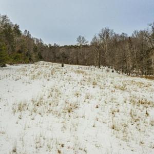 Photo #22 of BIBB STORE RD, LOUISA, VA 8.6 acres